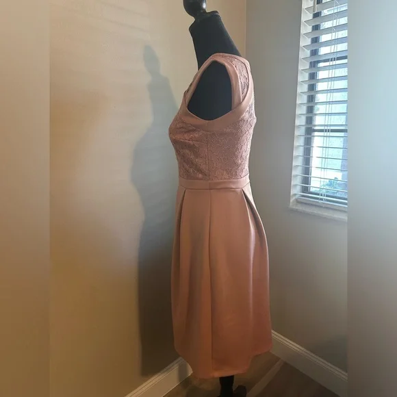 EUC‼️ Enfocus Studio Dusty Rose Sparkly Lace Dress. - Picture 6 of 8